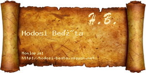 Hodosi Beáta névjegykártya